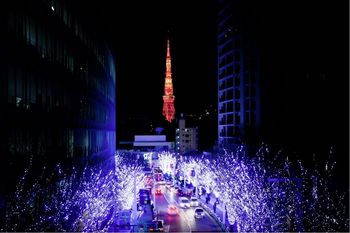 東京タワー02.jpg